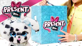 PRESENT PETS with LIMITED EDITION ACCESSORIES – Only at Walmart