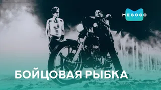 Бойцовая рыбка - Фильм. Бесплатно на Megogo.net новые фильмы, сериалы, мультфильмы. Трейлер