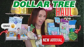 Incredible Dollar Tree Haul: So Many New Arrivals!