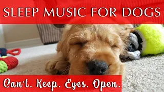 Songs for Dogs to Make Them Go to Sleep | Black Screen