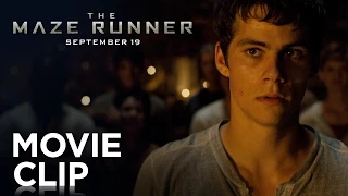 The Maze Runner | "Fight" Clip [HD] | 20th Century FOX