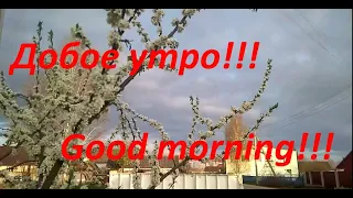 Доброе утро!!! Good morning!!!