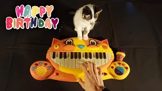 🐱 I Played Happy Birthday to my Baby Cat on Cat Piano