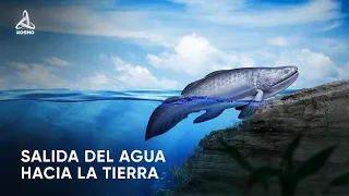 ¿Cómo la vida ha salido del AGUA hacía la TIERRA?