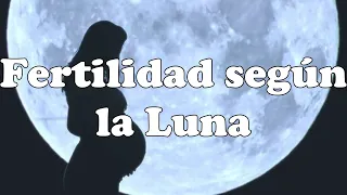 Fertilidad según la Luna 🤰🌚