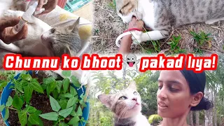 Chunnu Ko Bhoot 👻 Pakad Liya @SumitraRoyVlogs78