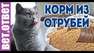 Какой корм подойдет британцу, корм для кастрата. ВетОтвет.