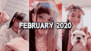 Melanie Martinez~ All Instagram Stories (February 2020)