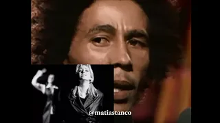 MASHUP - Ace of Base vs. Bob Marley