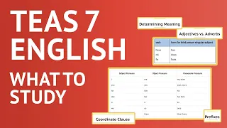 TEAS 7 English Review | What to study for the TEAS English section