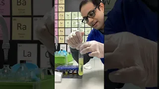 DIY KIWI DNA EXTRACTION EXPERIMENT