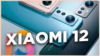 ¡¡SON OFICIALES!! Xiaomi 12, 12 Pro y 12X: TODOS los detalles