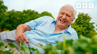 EXPLODING seed pods make Sir David Attenborough laugh 💥😂 The Green Planet 🌱 BBC