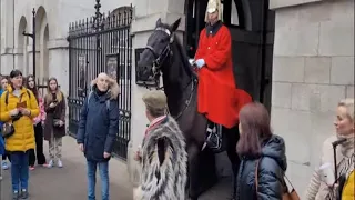 King's guard hits the panic button after tourist threatened to punch the horse #horseguardsparade