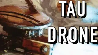 40 Facts & Lore on Tau Drones  Warhammer 40K