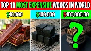Top 10 most EXPENSIVE woods in world | Facts of Universe