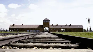 Why We Work at Auschwitz Documentary - 4K