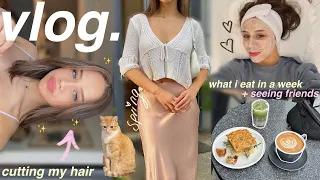 REALISTIC DAYS IN MY LIFE ! cutting my hair, what i eat in a week, living alone, & sick days