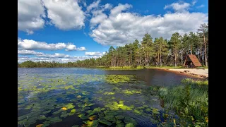 Лесное озеро.  Музыка Сергея Чекалина. Forest Lake. Music by Sergei Chekalin.