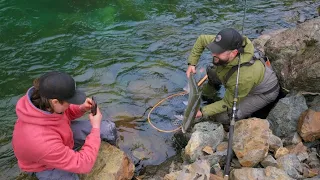 2 for 2! Steelhead Fishing on the Vedder | EP53