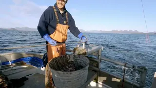 Setting Some Gear - Fall Halibut Fishing