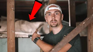 REMAINS FOUND UNDER ABANDONED HOUSE ON FARM LAND (SCARY)