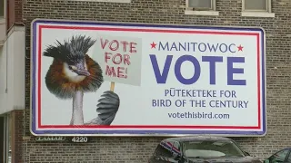 Well-renowned comedian campaigns for New Zealand's Bird of the Century in Manitowoc