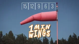 Find wind direction AND speed -- 1 Min Wings