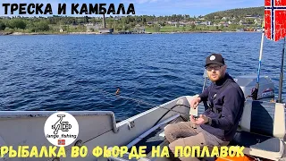 ПОПЛАВОК СНОВА В ДЕЛЕ! Рыбалка в Норвегии! Камбала. Треска. Норвегия. Рыбалка.