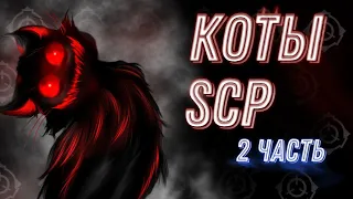 Котики SCP 2