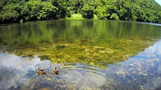 DRONE gets a man swimming in a crocodile infest water - Queensland