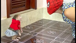 Sister Kobie Feel Very Curious & Surprise While Mom Wear Spiderman Mask To Play With Her ,