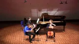 Brahms Piano Trio in B Major, Op. 8 - I. Allegro con brio