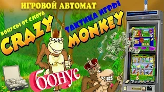 Как Выиграть в Слот Крейзи Манки[Crazy Monkey].Бонусные Игры Автомата Обезьянки в Казино Вулкан