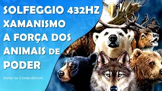 MÚSICA XAMÂNICA COM SOLFEGGIO 432HZ | FORÇA DOS ANIMAIS DE PODER