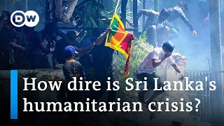 Chaos in Sri Lanka as president flees | DW News