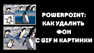 Powerpoint: как удалить фон с картинки и gif-ки?