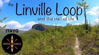 The Linville Gorge Loop - ITAYG