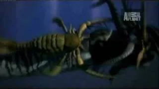 Scorpion vs Squid