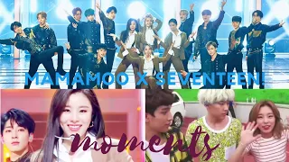 MAMAMOO (마마무) x Boygroups Edition: SEVENTEEN (세븐틴)