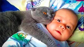 Cat Didn't Take A Step Away From The Baby. After Learning The Reason, The Parents Called The Police!