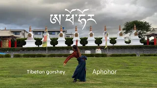 ཨ་ཕོ་ཧོར། | Aphohor |Latest Tibetan gorshey| Tibetan vlogger |#tibetanvlogger #recommended