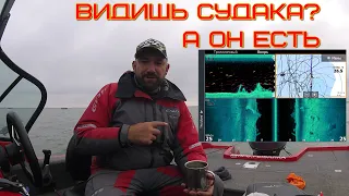 как показывает рыбу эхолот на примере LOWRANCE ELITE TI 2 12 и FS9  с датчиком  ActiveTarget Live,