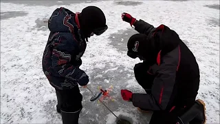 Праздничный клёв в Рождество. Клёвое место.