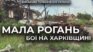 ЗВІЛЬНЕНА МАЛА РОГАНЬ НА ХАРКІВЩИНІ