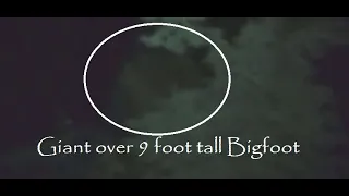 Giant Bigfoot filmed before man gets smashed by log