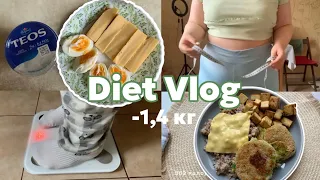 Diet | -1,4 кг за 5 дней ✨худею со 100 кг✨