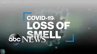 How COVID-19 causes loss of smell