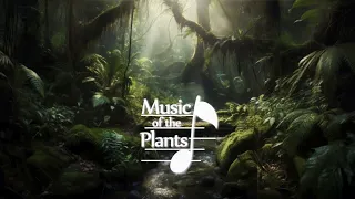 Music of the Plants Healing Inner anger and Sorrow Removal, Ultra Relaxing Music for Stress