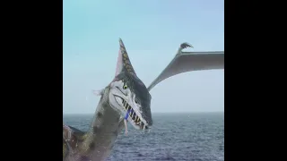 Sharktopus vs Pteracuda (2014) | Shark Movie